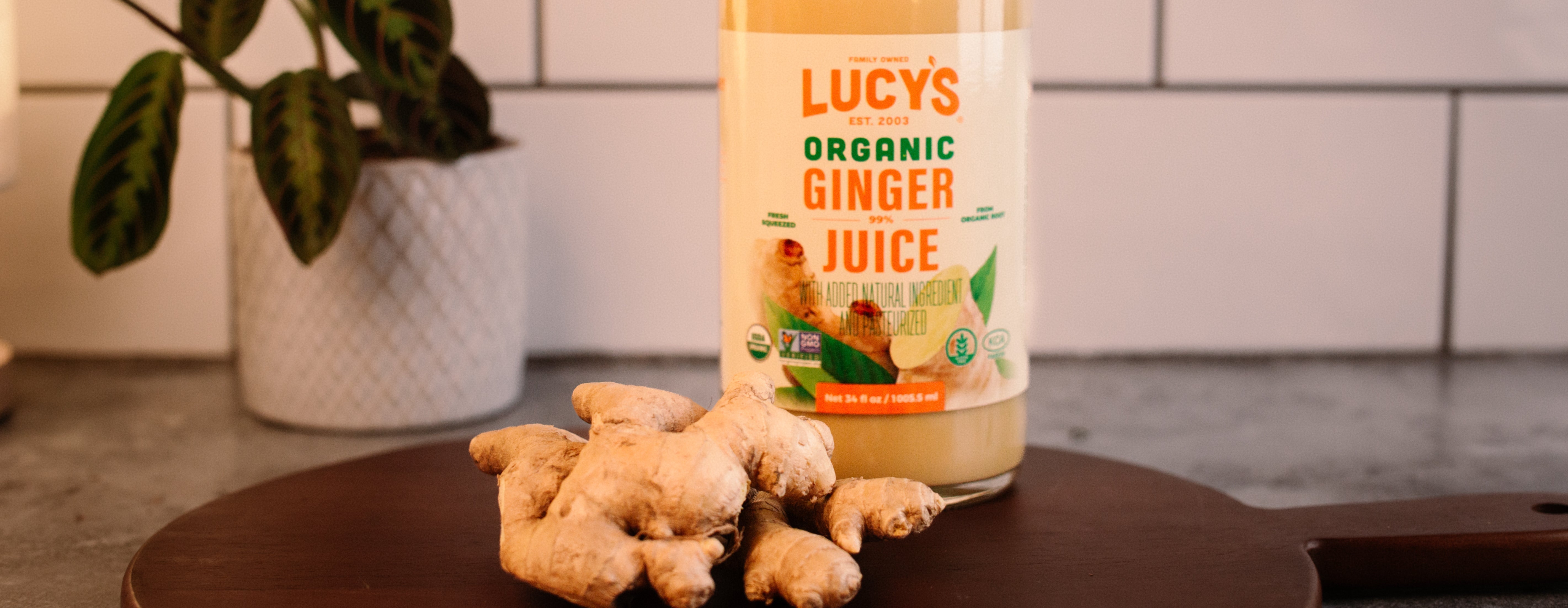 Ginger: The Historically Medicinal Root